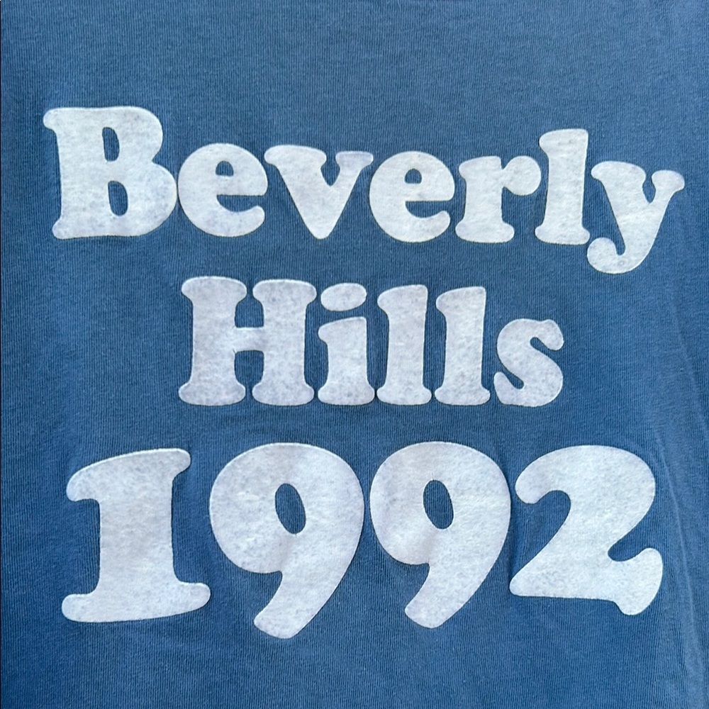 Wildfox Vintage Blue Graphic Tee - Picture 3 of 5